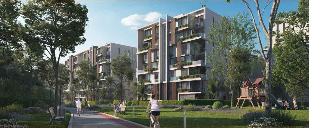 صورة المشروع