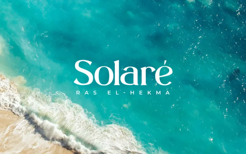 صورة المشروع